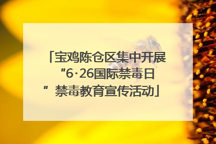宝鸡陈仓区集中开展“6･26国际禁毒日”禁毒教育宣传活动